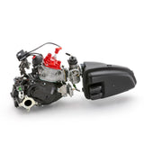 Rotax 125 Max DD2 2025 Evo