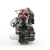 Rotax 125 Max DD2 2025 Evo