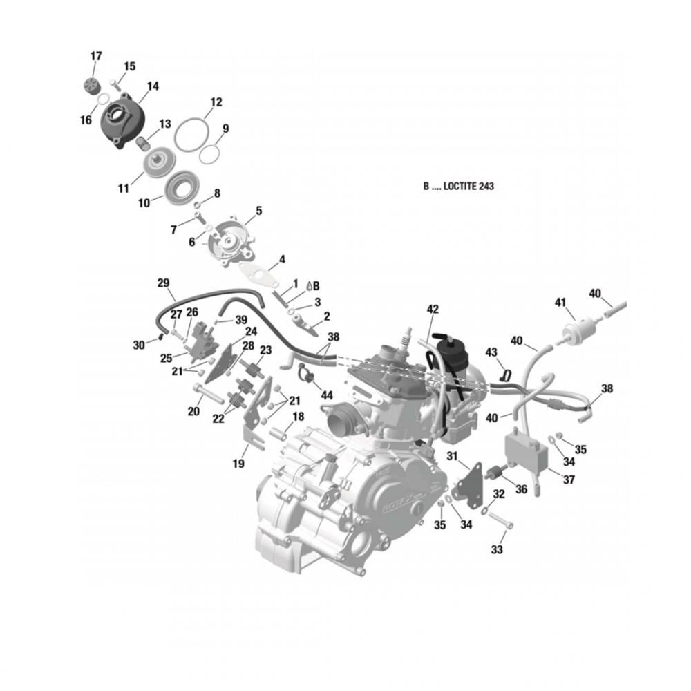 Exhaust Valve, Fuel Pump and Ignition coil