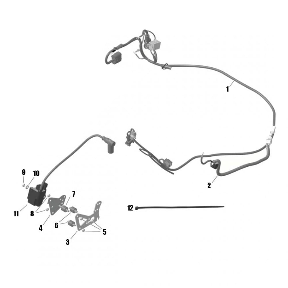 Wiring & Ignition coil