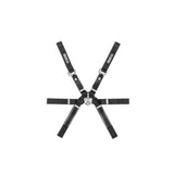 Bälte Formula H-12 6P 2" Svart