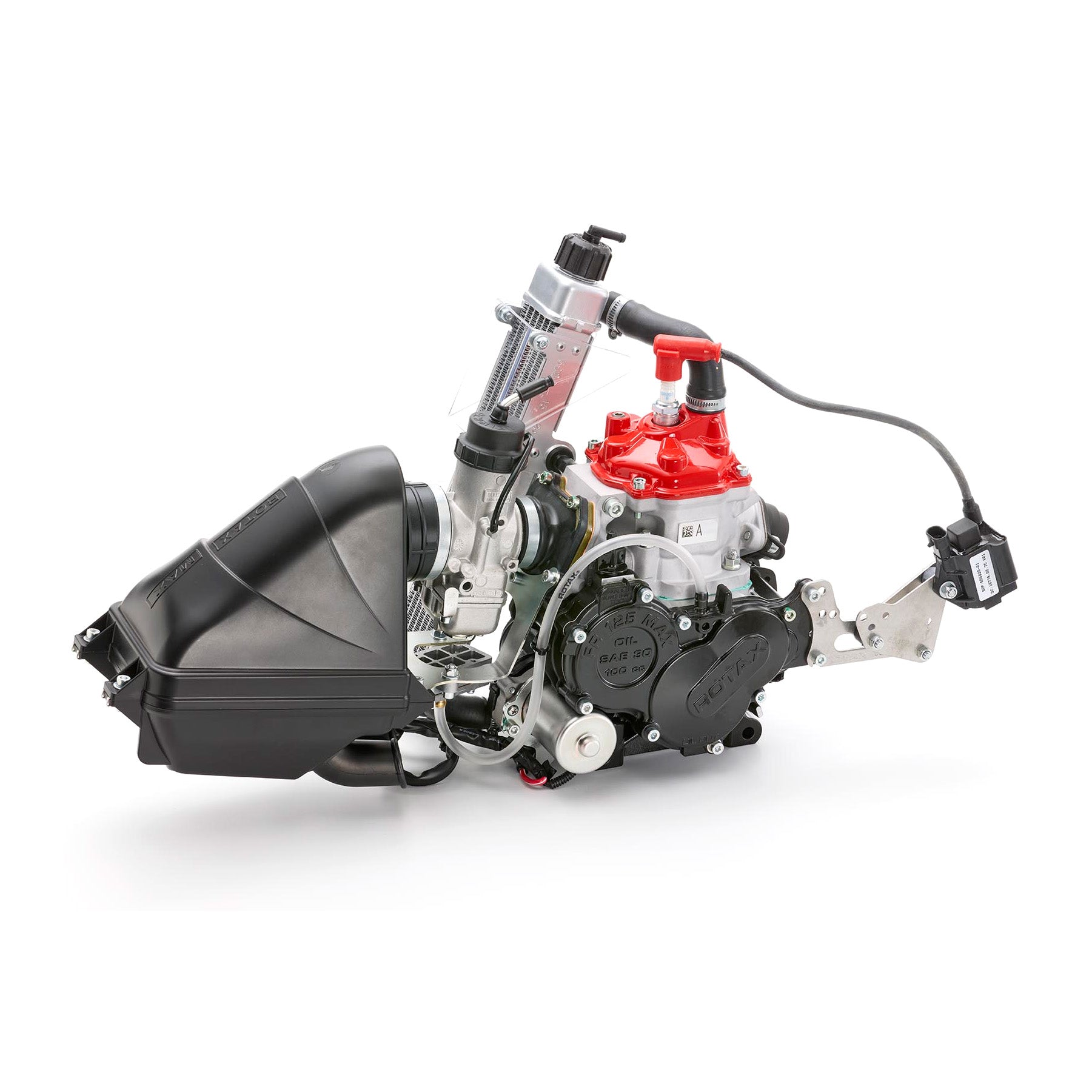 Rotax 125 Max Mini 2026 Evo