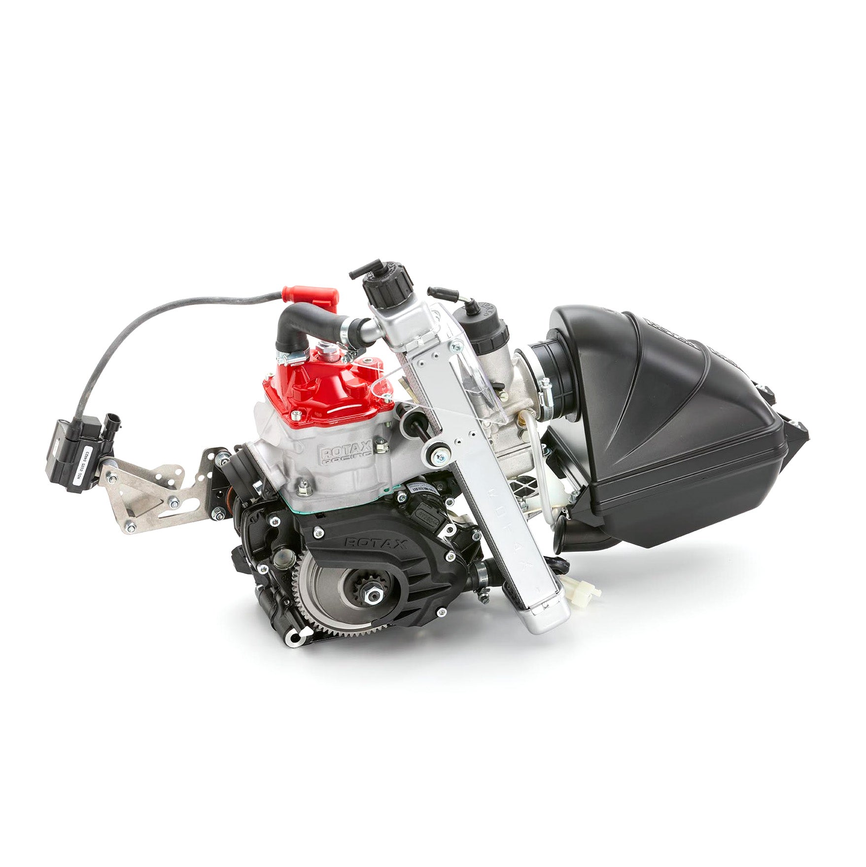Rotax 125 Max Mini 2026 Evo
