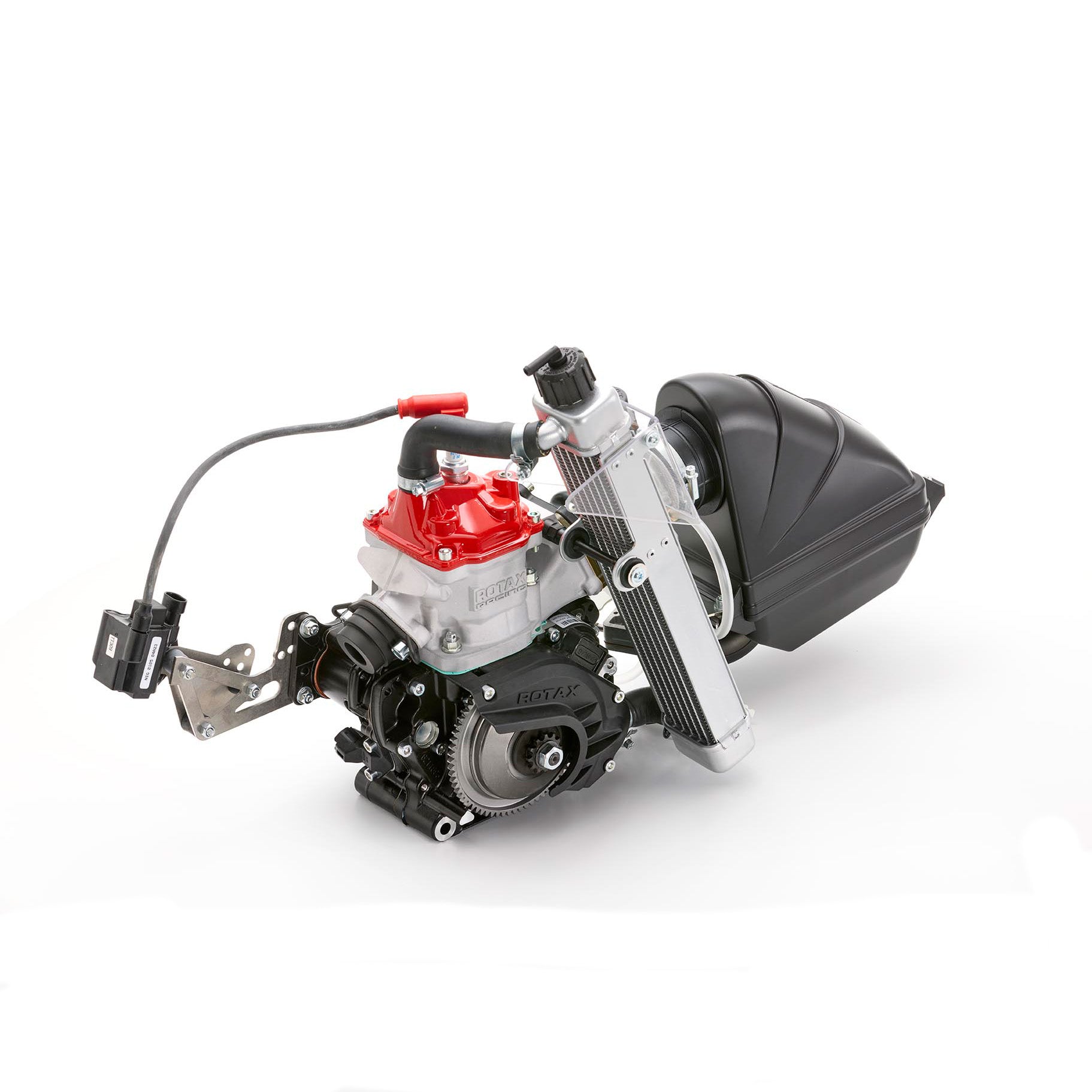 Rotax 125 Max Micro 2026 Evo