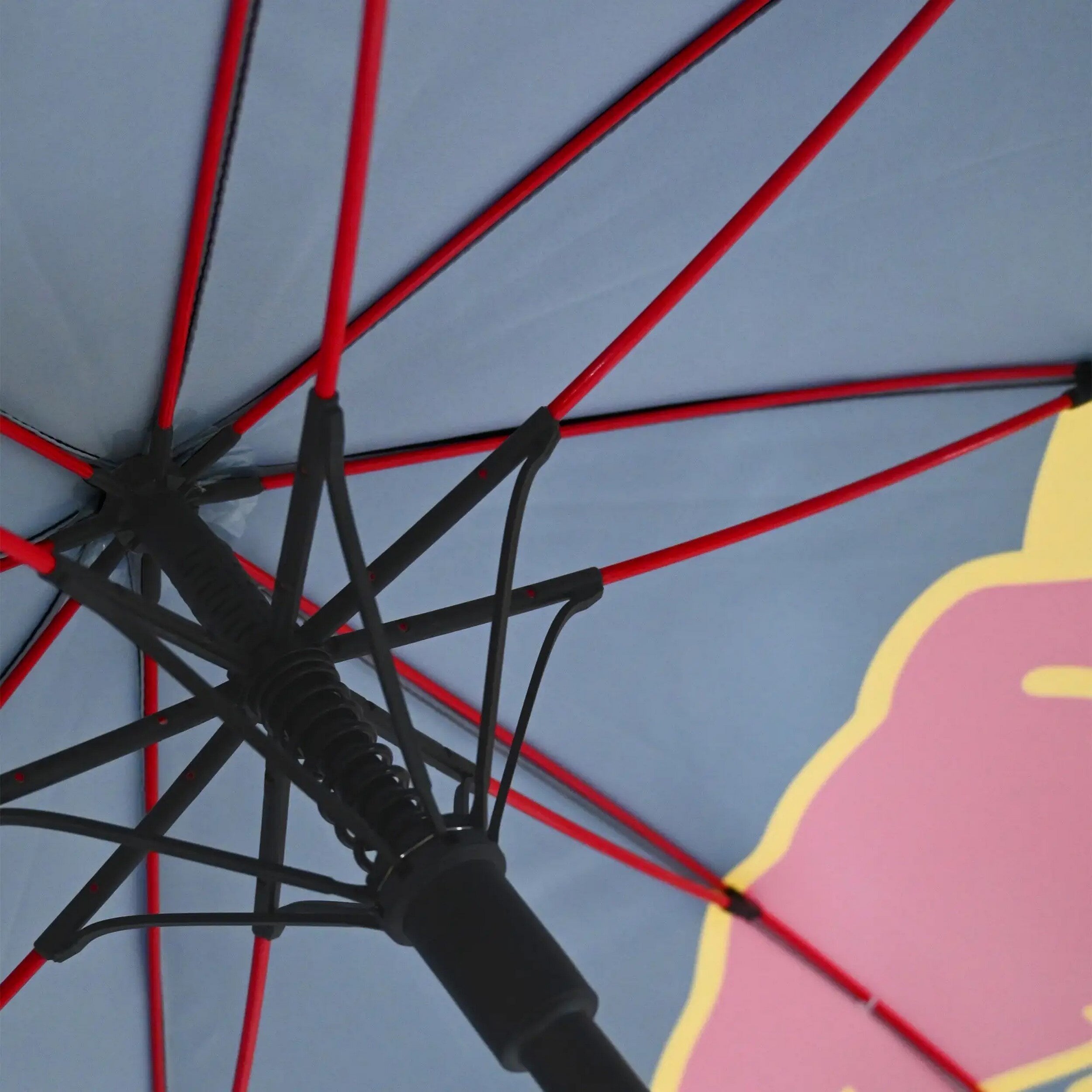 Umbrella RedBull Racing
