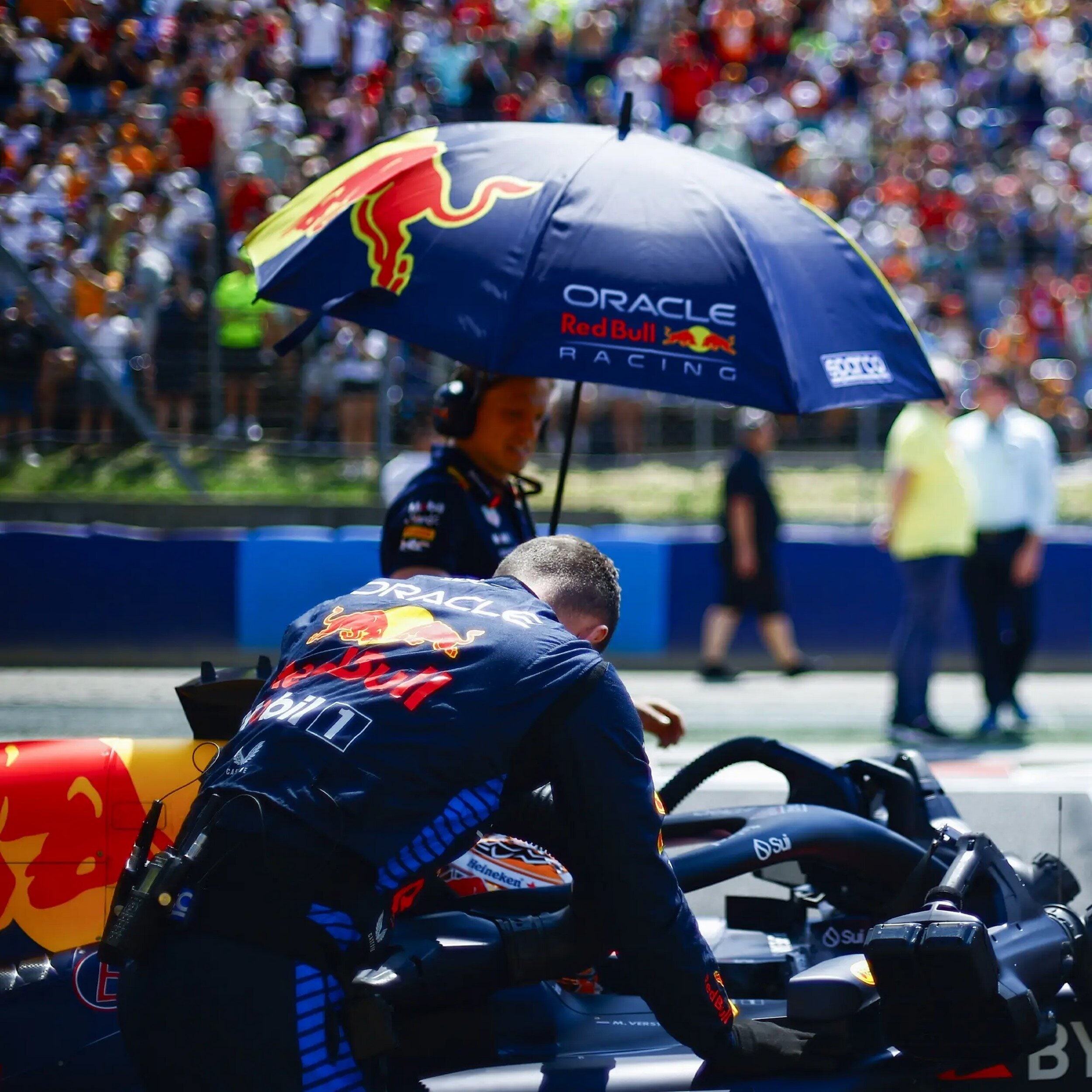 Umbrella RedBull Racing